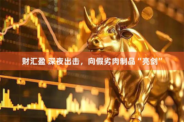 财汇盈 深夜出击，向假劣肉制品“亮剑”